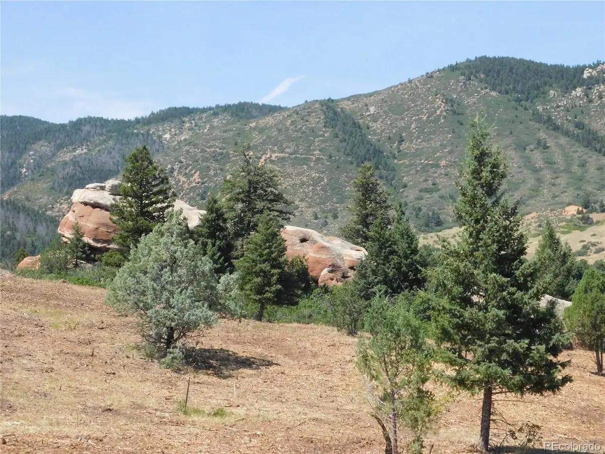 6382 Country Club Drive, Larkspur, CO 80118 - #1