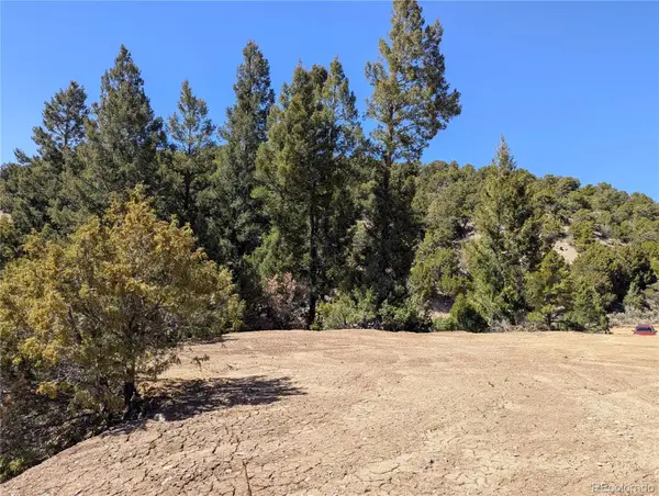 1593 Jaidi Road, Fort Garland, CO 81133