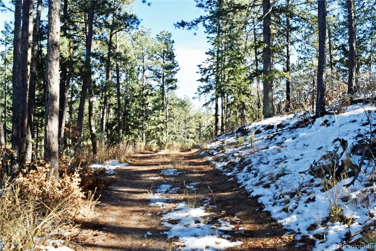 12778 Greenland Acres Road, Larkspur, CO 80118 - Image #1