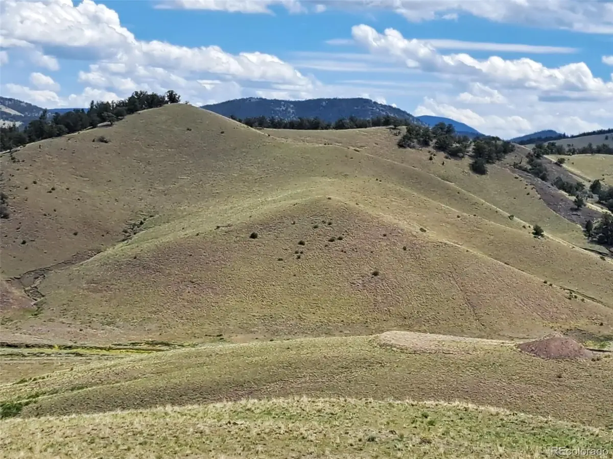 00 Watonga Road, Hartsel, CO 80449 - #1