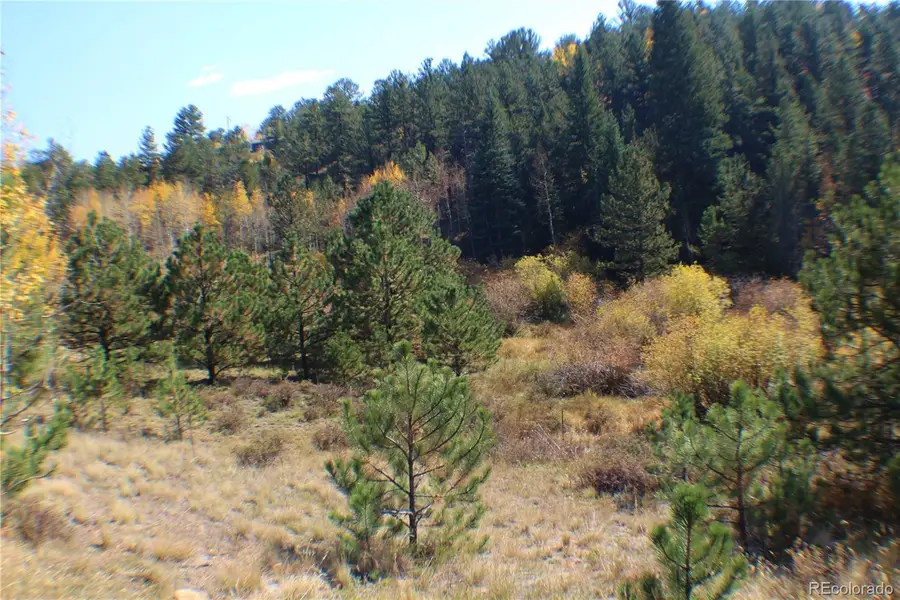 2020 Shelton Drive, Bailey, CO 80421 - Image #2