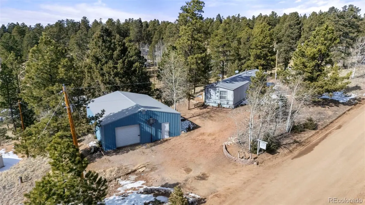 171 Star View Trail, Divide, CO 80814 - #1