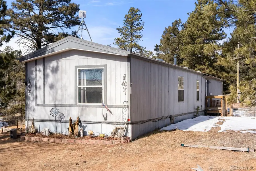 171 Star View Trail, Divide, CO 80814 - #2