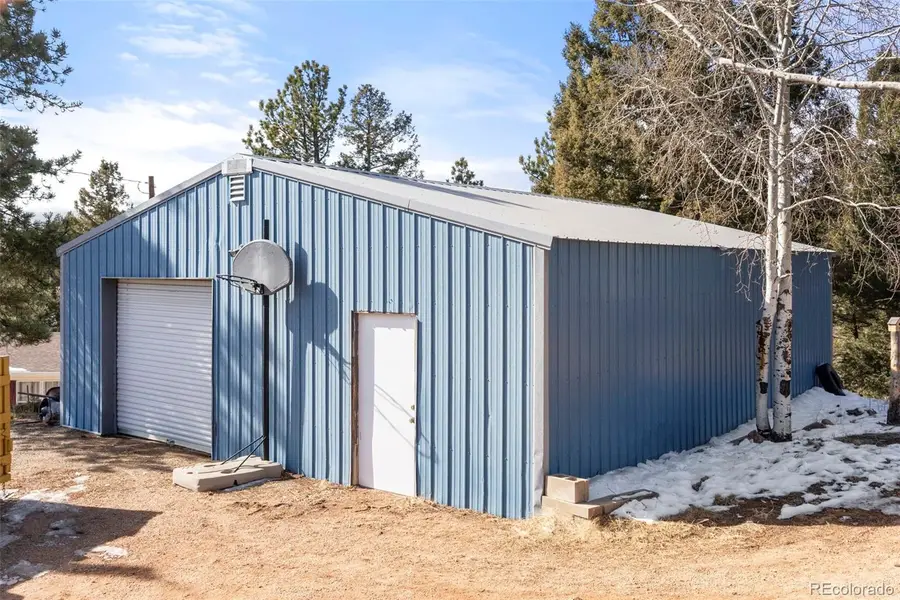 171 Star View Trail, Divide, CO 80814 - #3
