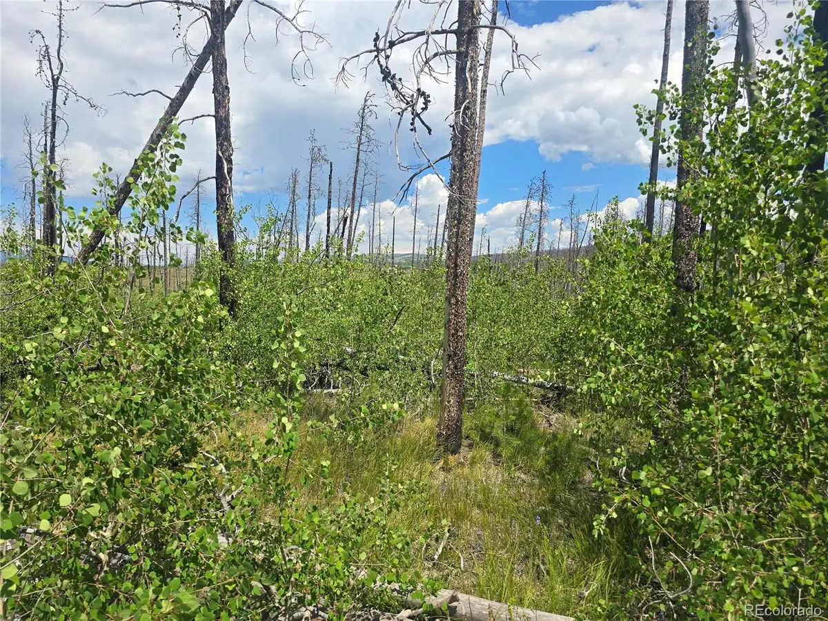 1460 & 1470 Von Hyle Lane, Fort Garland, CO 81133 - Image #1