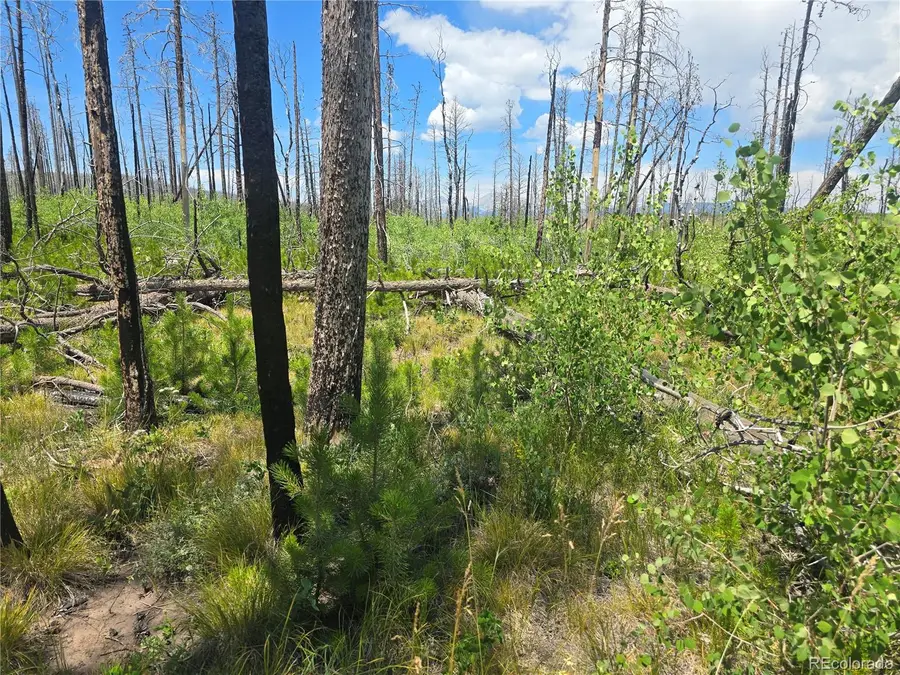 1460 & 1470 Von Hyle Lane, Fort Garland, CO 81133 - Image #3