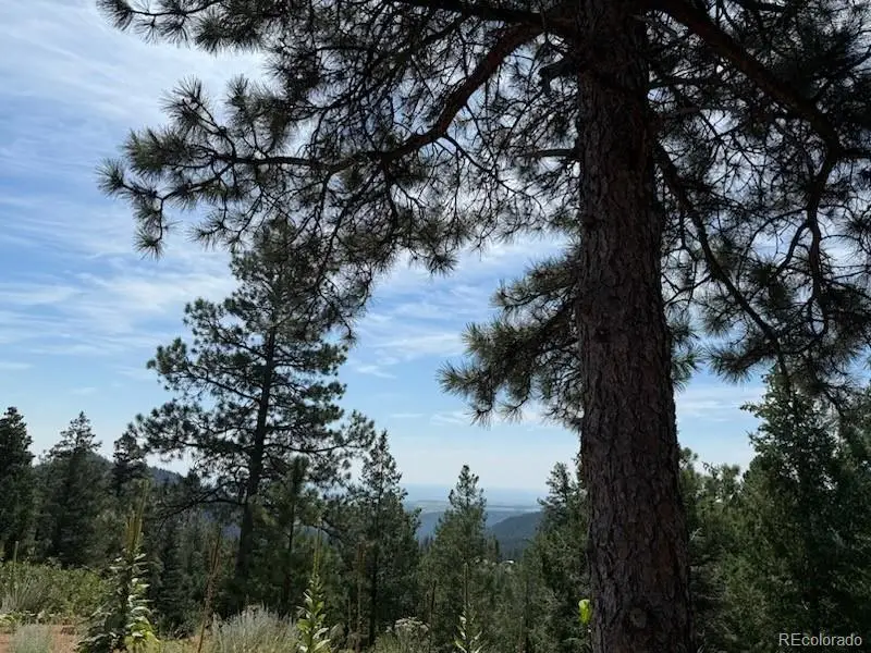 3435 Little Turkey Creek Road, Colorado Springs, CO 80926 - Image #3