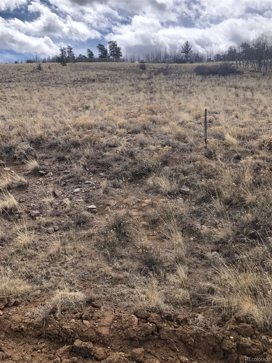 2178 Dog Chief Trail, Hartsel, CO 80449 - Image #2