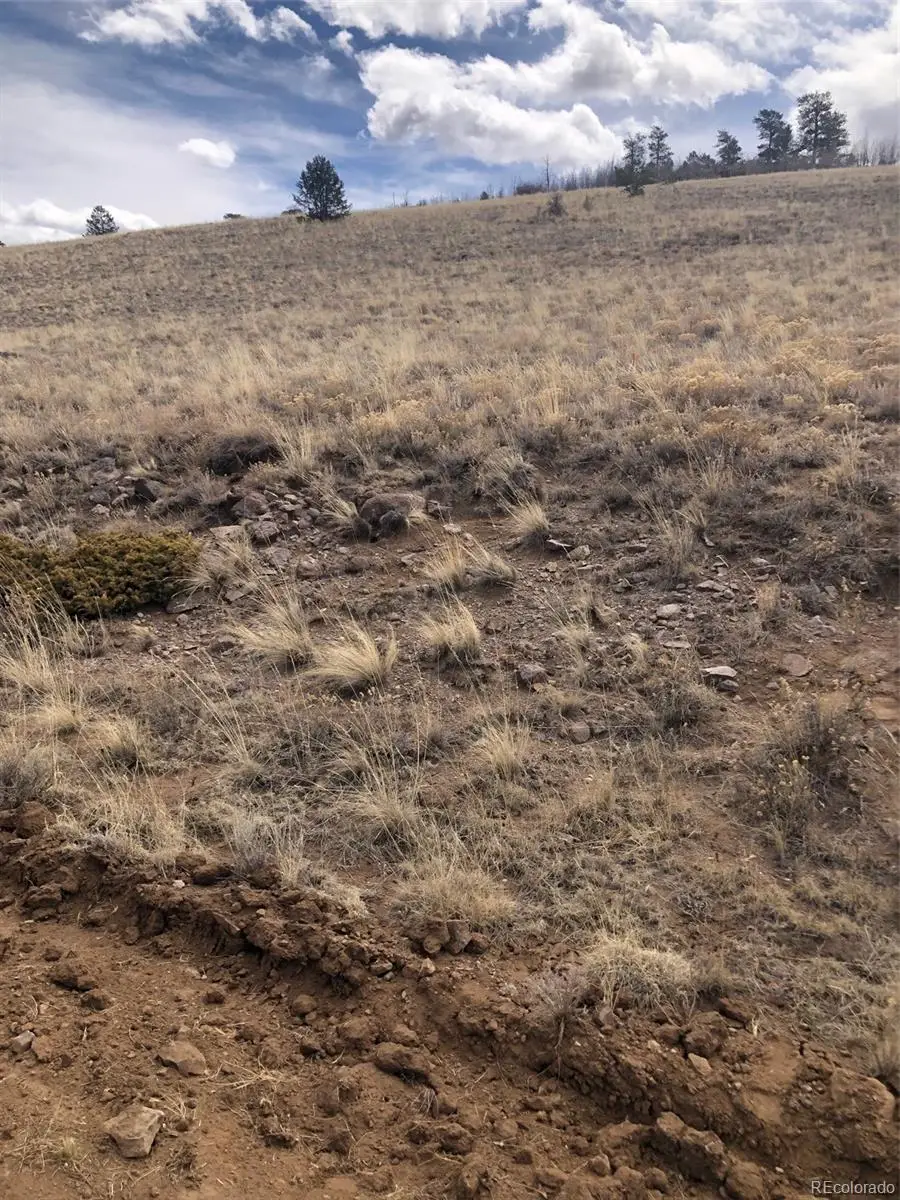 2178 Dog Chief Trail, Hartsel, CO 80449 - Image #3