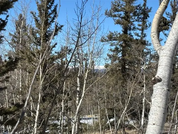 192 Bear Way, Como, CO 80432