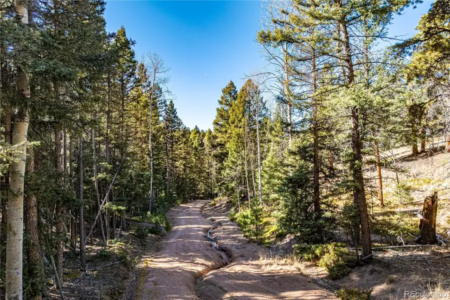 0 Arrowhead Road, Florissant, CO 80816 - #2