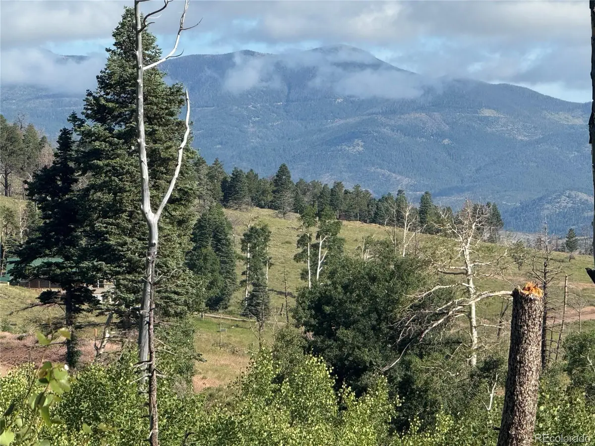 Lot 775 Forbes Park Road, Fort Garland, CO 81133 - Image #1