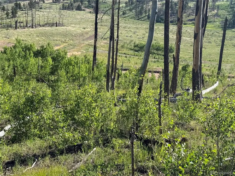 Lot 775 Forbes Park Road, Fort Garland, CO 81133 - Image #2