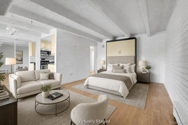 250 N Pearl Street #209, Denver, CO 80203