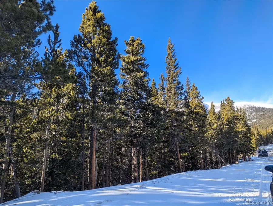 Crest Drive, Idaho Springs, CO 80452 - Image #3