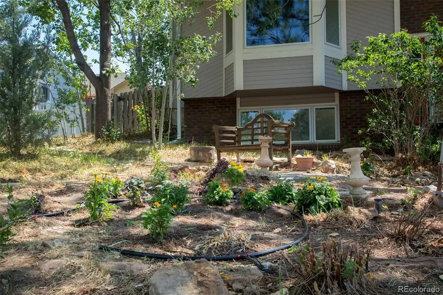 473 S Larkspur Drive, Castle Rock, CO 80104 - #3