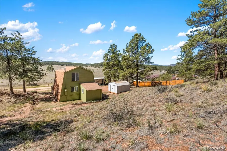 301 Circle Drive, Florissant, CO 80816 - #2
