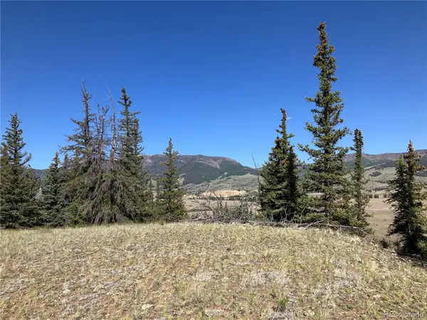 442 Deep Creek Road, Creede, CO 81130