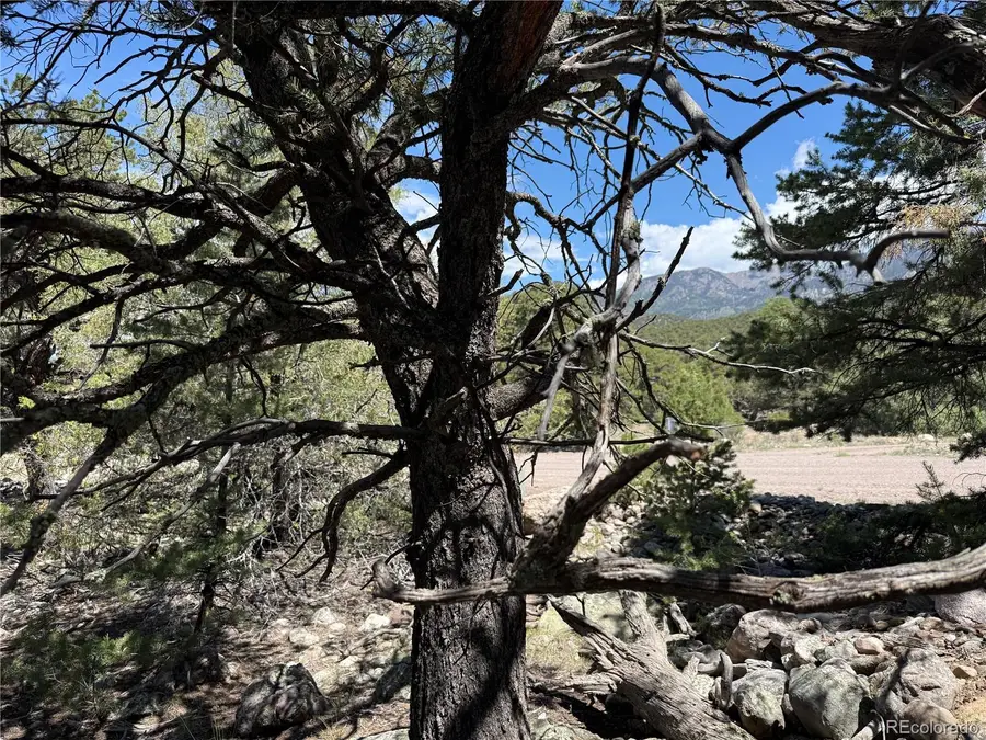 2150 Indian Well Way, Crestone, CO 81131 - #2