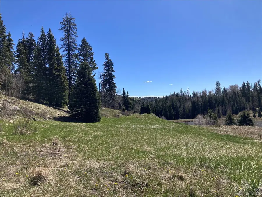 222 Lost Valley Drive, Creede, CO 81130 - #2