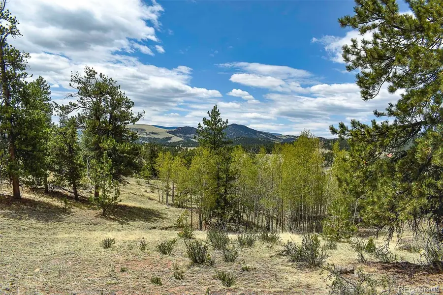 422 Buck Drive, Guffey, CO 80820 - #3