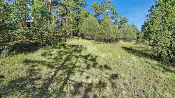 Bob Cat Trail, Bailey, CO 80421