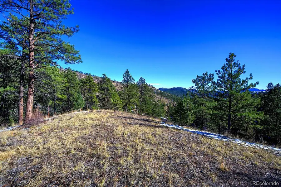 6 Turret Peak Trail, Pine, CO 80470 - Image #3