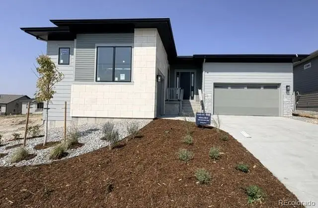 430 Leafy Aster Lane, Castle Rock, CO 80104 - #1