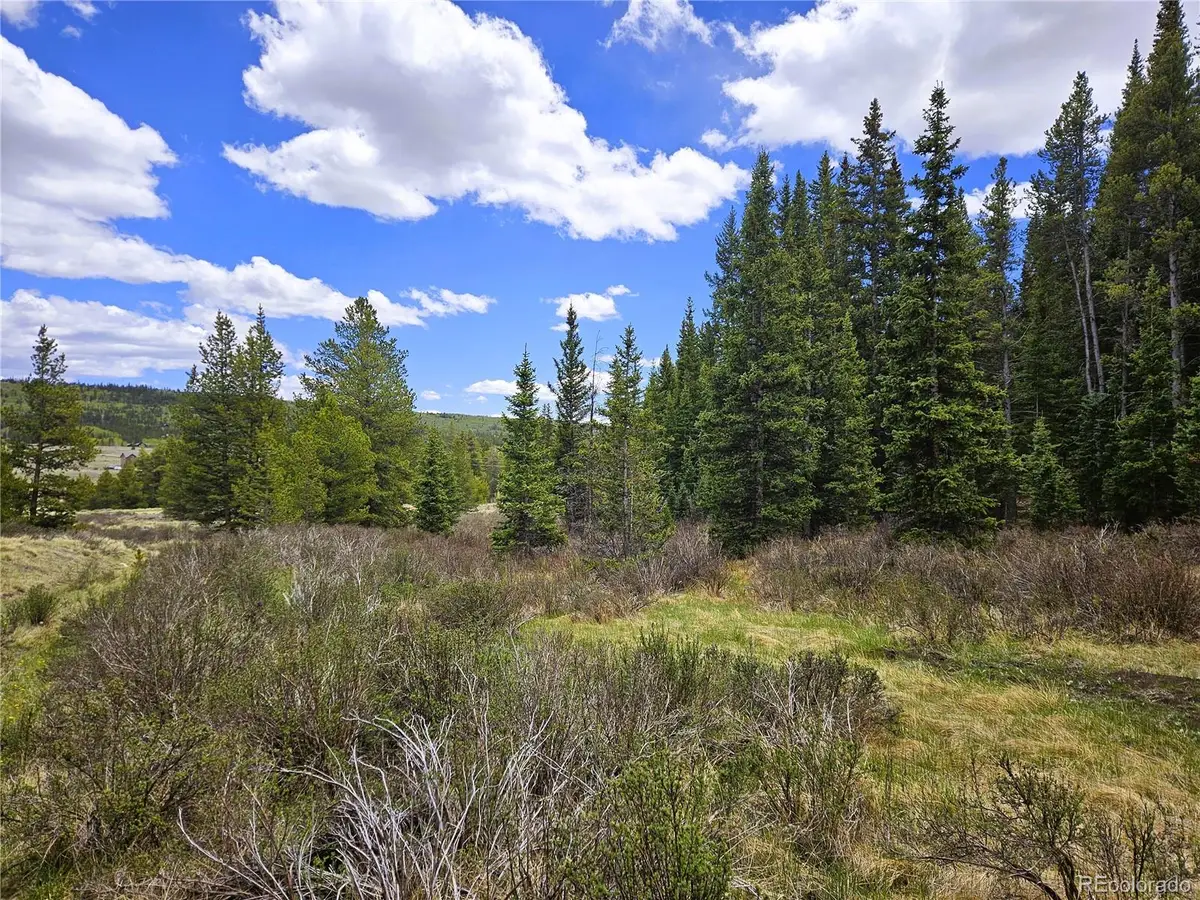 Looney Lane, Fairplay, CO 80440 - #1