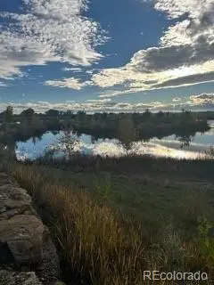 13331 Merrymaker Drive, Firestone, CO 80504 - #3