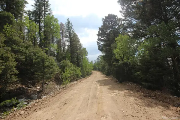 LOT 6401 Ryland Road, San Luis, CO 81152