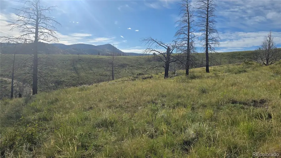 Lot 7719 Hallstein Road, Fort Garland, CO 81133 - Image #2