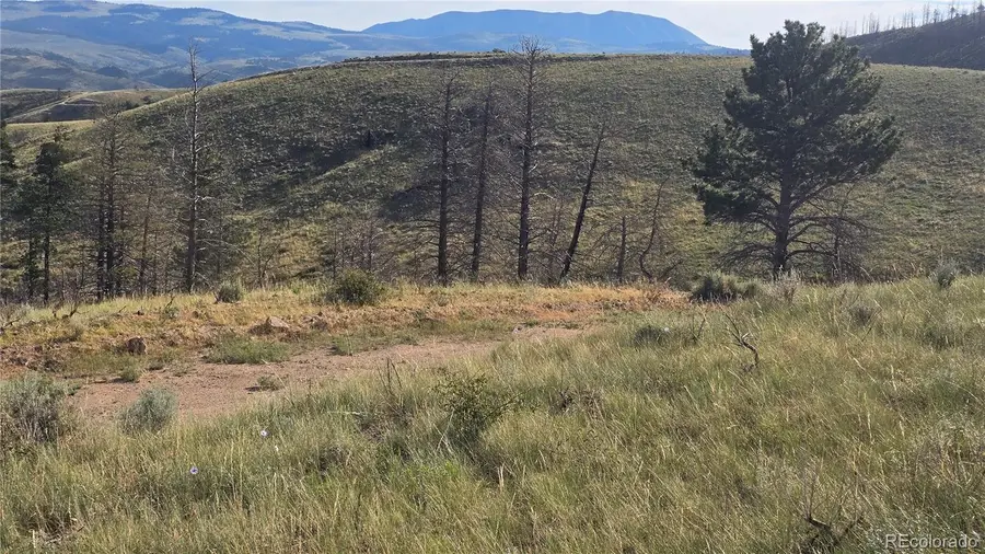 Lot 7719 Hallstein Road, Fort Garland, CO 81133 - Image #3