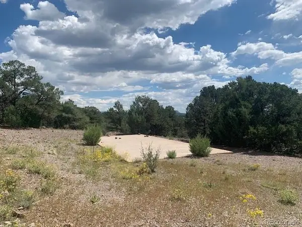 188 Looters Lane, Westcliffe, CO 81252