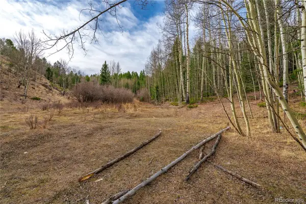 130 Grey Eagle Way, Cripple Creek, CO 80813