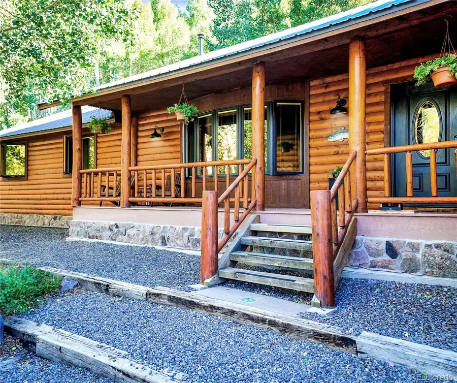 6 Bear Paw S, Antonito, CO 81120 - #3