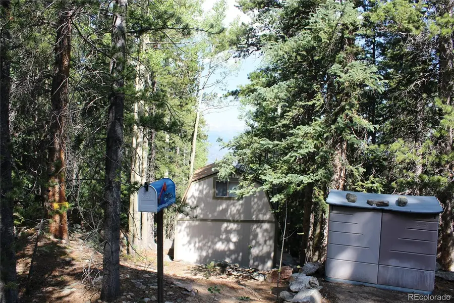 Lot 18 Hidden Wildernes Road, Idaho Springs, CO 80461 - #3