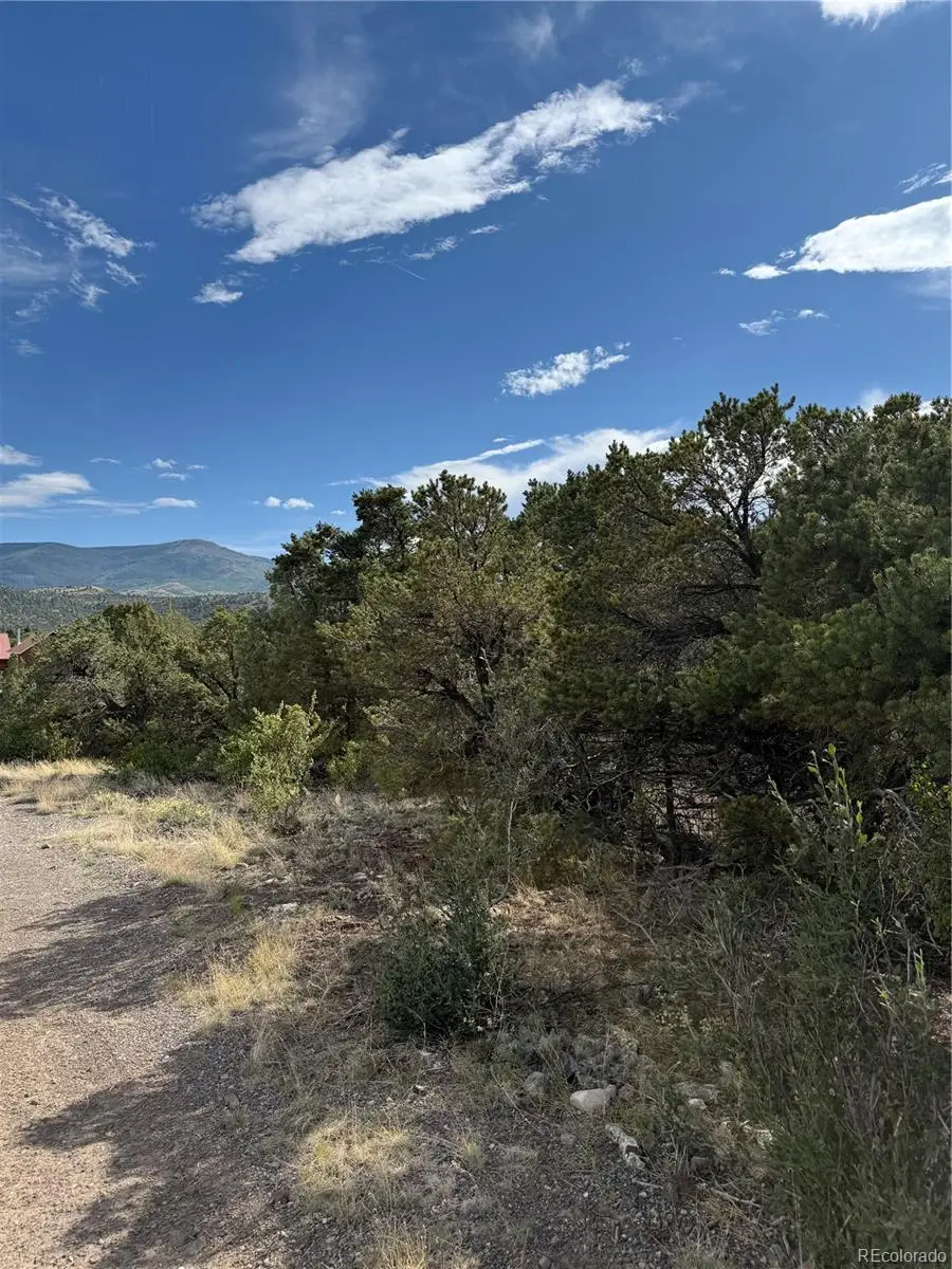 729 Vail Pass Road, South Fork, CO 81154 - Image #3