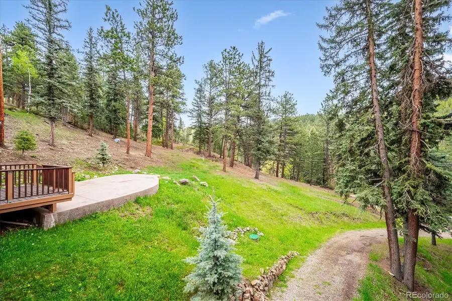 6747 S Brook Forest Road, Evergreen, CO 80439 - #2
