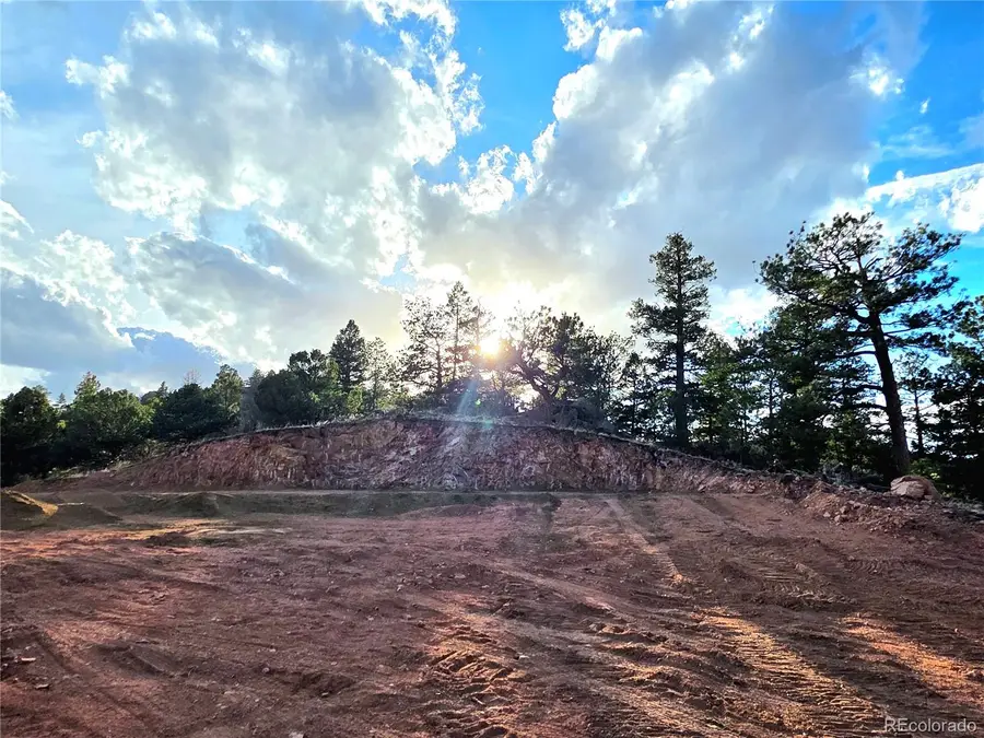 204 Pine Road, Florissant, CO 80816 - #2