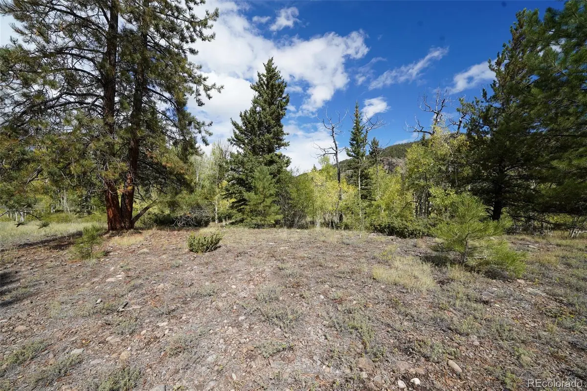 48 Deer Park, Antonito, CO 81120 - #1