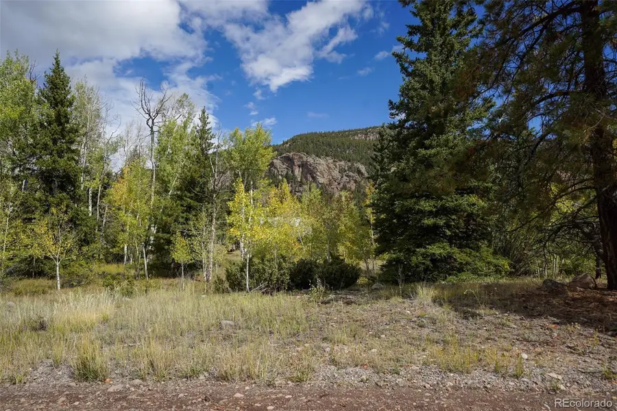 48 Deer Park, Antonito, CO 81120 - #2