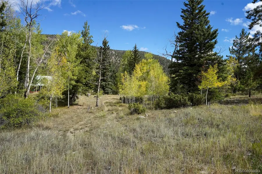 48 Deer Park, Antonito, CO 81120 - #3