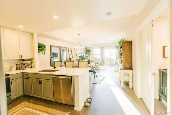 925 N Lincoln Street #4D, Denver, CO 80203