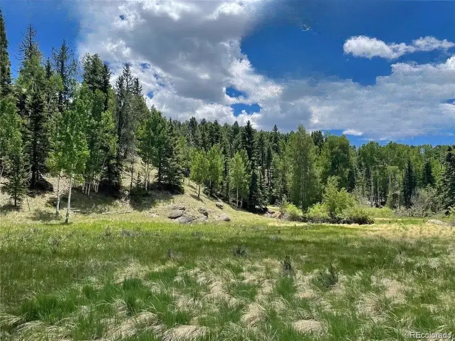 458 Arrowhead Road, Florissant, CO 80816 - #2