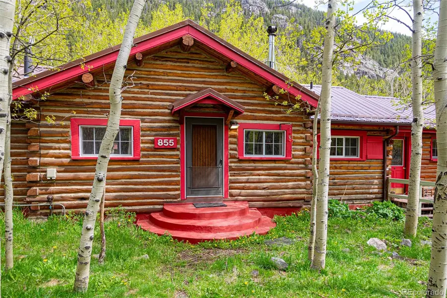 855 Eldorado Avenue, Nederland, CO 80466 - #2