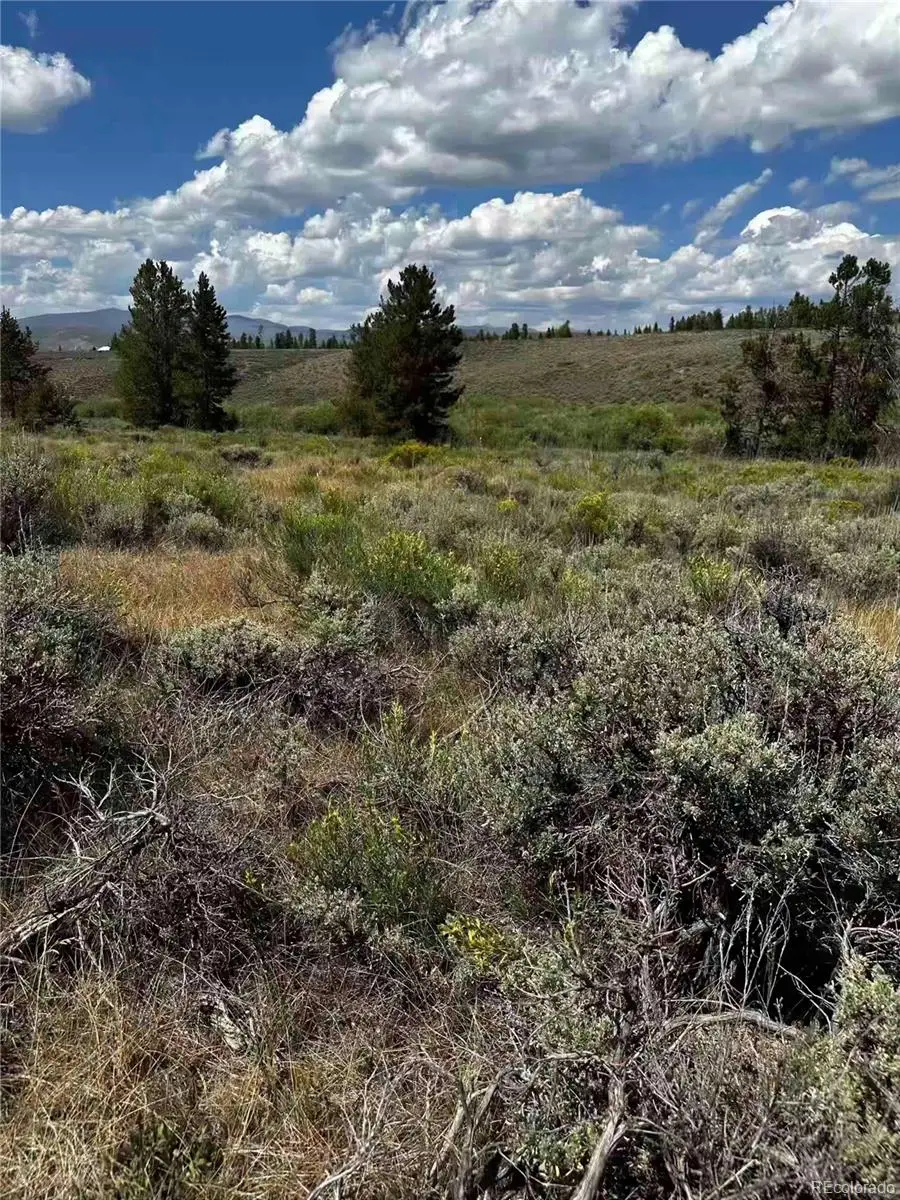 1028 Cty Rd 6236n / Meadow, Granby, CO 80446 - #1