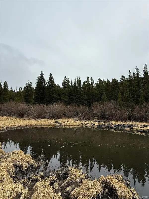 91 Lake Road, Idaho Springs, CO 80452