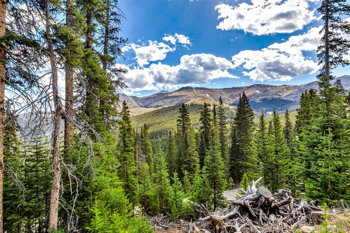 413 Carroll Lane, Breckenridge, CO 80424 - #1