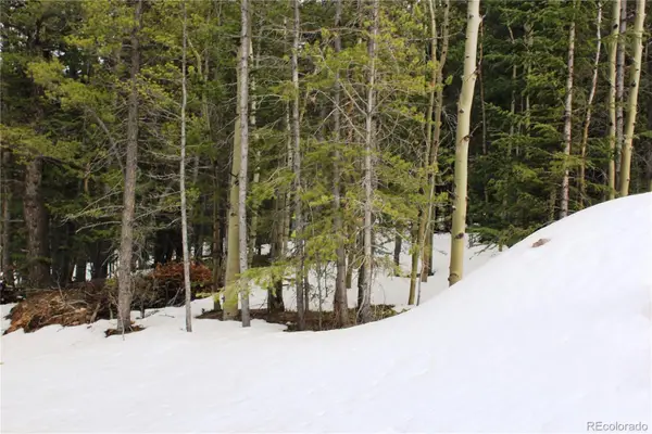 00 Miners Mesa Road, Black Hawk, CO 80422